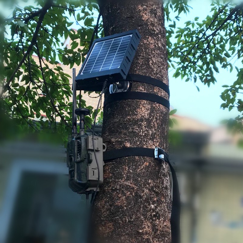 telecamere per uso foresteria